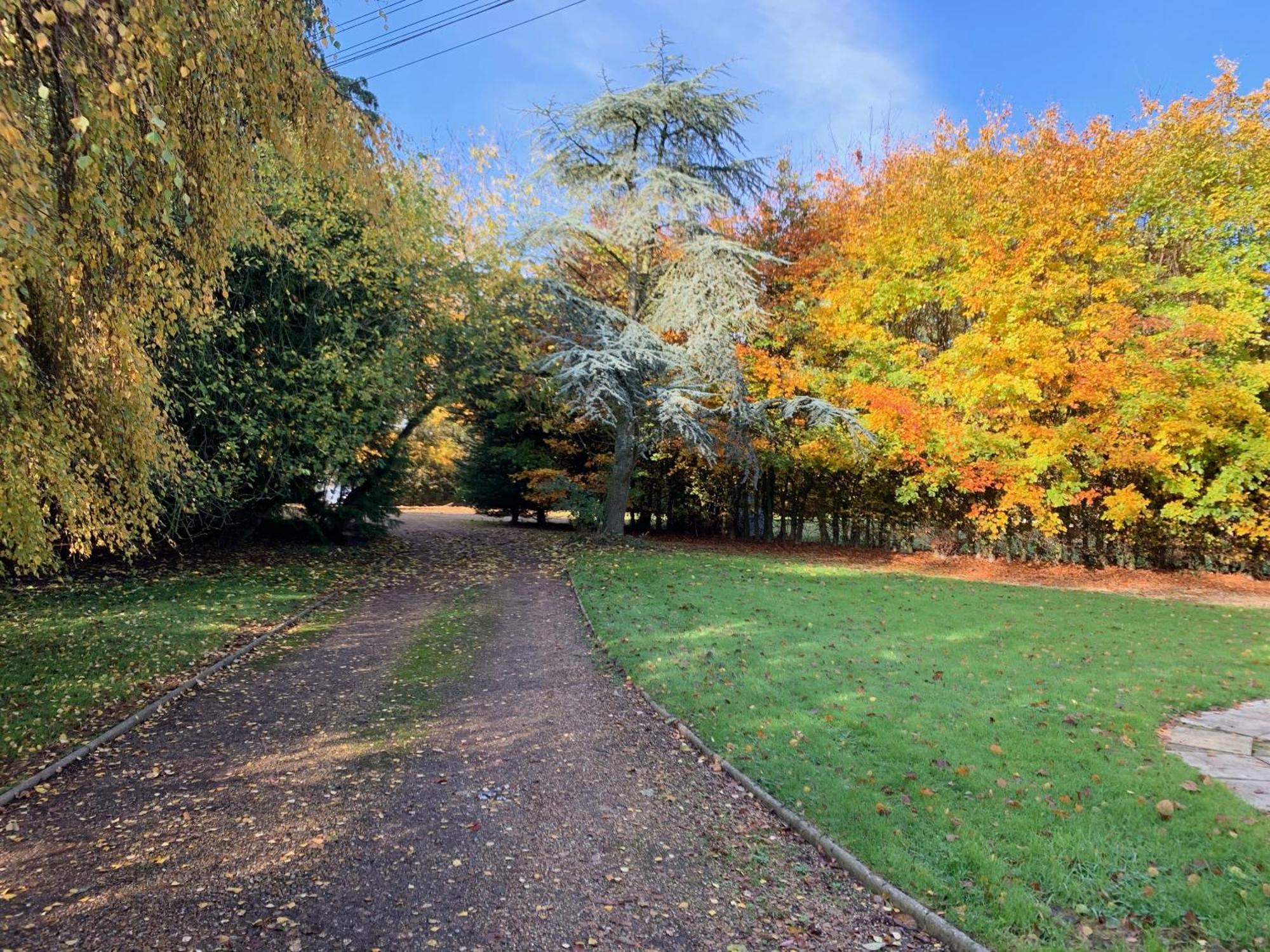 Great Ellingham Aldercarr Hall מראה חיצוני תמונה
